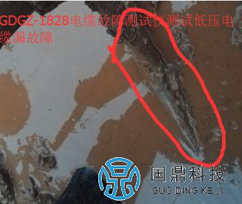低压电缆被挖机挖伤现象