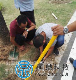 路灯电缆故障现场