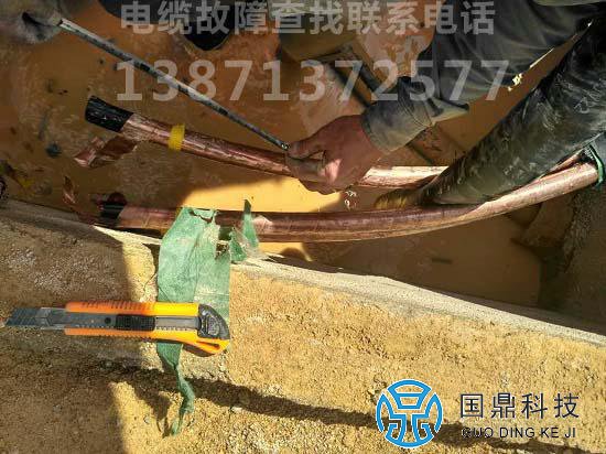 甘肃电缆故障查找公司