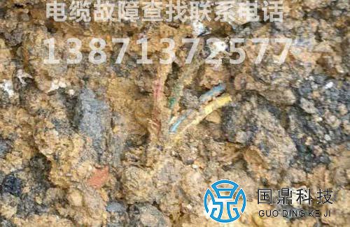 电缆故障检测供应商
