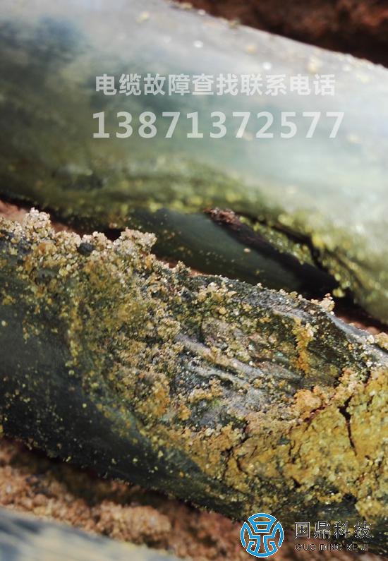 ������¹�������