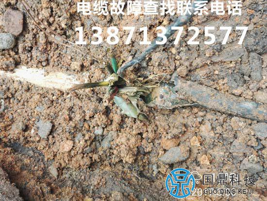 �㽭���¹��ϲ��ҽ��