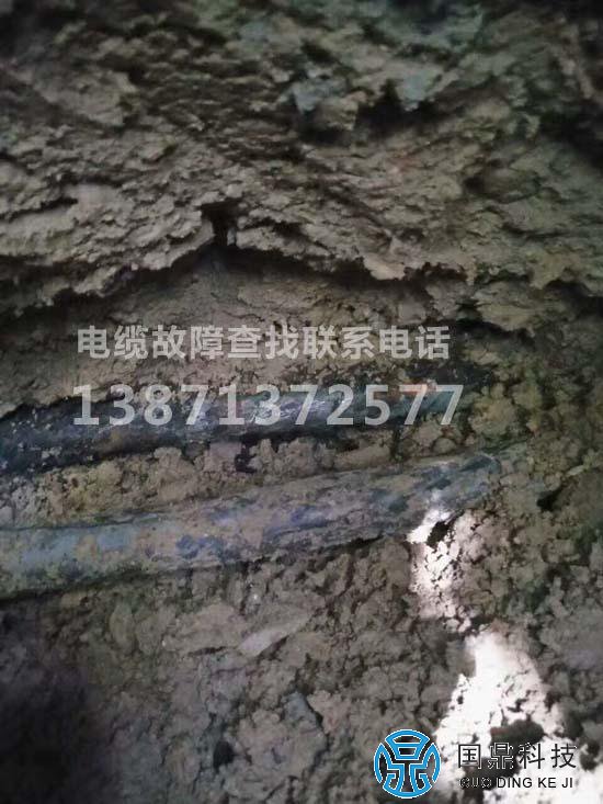 ������¹��϶�λ�ֳ�