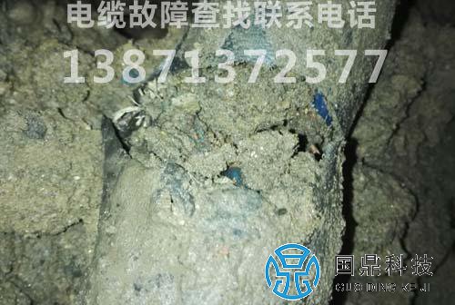 ���ϵ���10KV���¹��ϲ��Խ��