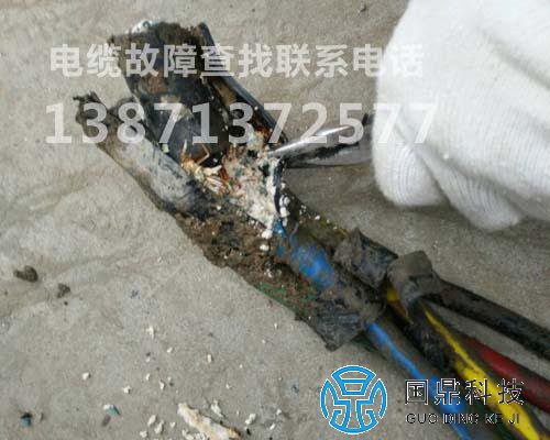 ���������¹��ϲ��Խ��